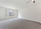 Thumbnail 32 of 36 - A room with a carpeted floor and a window.