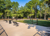 Thumbnail 22 of 22 - dog park