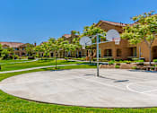 Thumbnail 24 of 29 - A basketball court is surrounded by houses and trees.