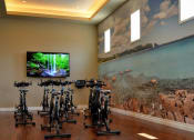 Thumbnail 15 of 30 - Spin Bikes at Avino in San Diego, CA