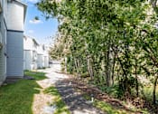 Thumbnail 11 of 46 - A pathway in a residential area with trees on both sides.