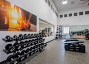 Thumbnail 21 of 48 - A gym with a row of black dumbbells on the left and a mirror on the right.