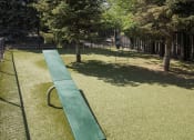 Thumbnail 12 of 24 - Dog Park