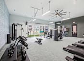 Thumbnail 35 of 55 - A gym with a variety of equipment including treadmills, weights, and exercise machines.