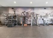 Thumbnail 10 of 24 - the home gym has a wall mural of a cow and weights and cardio equipment