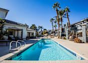 Thumbnail 33 of 44 - A swimming pool surrounded by palm trees and buildings.