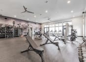 Thumbnail 7 of 24 - a gym with weights machines and a wall mural of gym equipment
