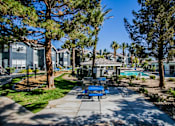 Thumbnail 35 of 44 - A sunny day at a residential complex with a pool and a playground.
