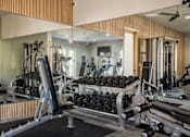 Thumbnail 12 of 38 - a gym with weights and mirrors on the wall