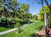 Thumbnail 36 of 44 - A tree-lined pathway in a sunny park.