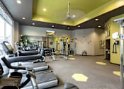 Thumbnail 17 of 28 - A gym with treadmills, weights, and exercise equipment.