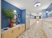 Thumbnail 27 of 30 - a hallway with a blue wall and a plant in a vase