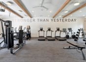Thumbnail 12 of 29 - a gym with cardio machines and weights on the floor
