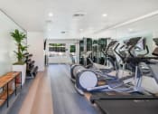 Thumbnail 15 of 21 - fitness center at Softwind Point Apartments