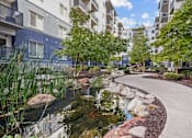 Thumbnail 22 of 30 - A pond with rocks and plants in the foreground and apartment buildings in the background.