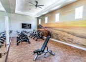 Thumbnail 46 of 57 - A gym with a row of exercise bikes and a wall mural of a desert landscape.
