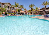 Thumbnail 1 of 57 - A large swimming pool surrounded by palm trees and lounge chairs.