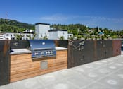 Thumbnail 27 of 30 - A community BBQ grill