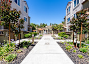 Thumbnail 17 of 23 - courtyard