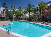 Thumbnail 11 of 30 - large pool with surrounding palm trees