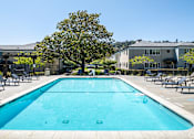 Thumbnail 1 of 11 - A large swimming pool in a sunny outdoor setting.