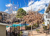 Thumbnail 6 of 21 - A pool surrounded by a fence and trees.
