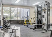 Thumbnail 19 of 27 - A gym with a variety of equipment including a squat rack, bench, and weights.
