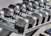 Thumbnail 16 of 27 - A set of dumbbells are neatly arranged on a rack.
