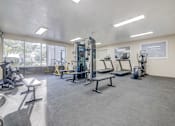 Thumbnail 17 of 27 - A gym with a variety of equipment including treadmills, weights, and benches.