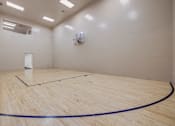 Thumbnail 15 of 27 - A wooden court with a blue line in the middle.