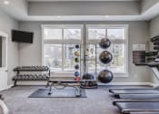 Thumbnail 22 of 33 - fitness center