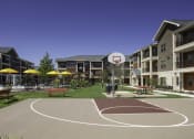 Thumbnail 29 of 35 - Basket Ball