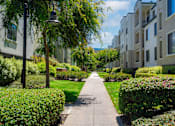 Thumbnail 31 of 31 - A tree-lined walkway leads to apartment buildings.