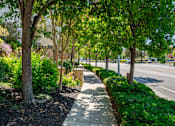 Thumbnail 26 of 31 - A sidewalk runs along the edge of a tree-lined street.