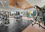 Thumbnail 24 of 36 - a gym with weights and cardio equipment and windows