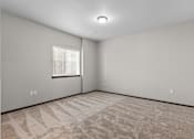 Thumbnail 23 of 50 - A room with a carpeted floor and a window with blinds.