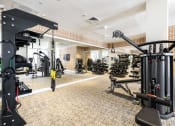 Thumbnail 26 of 32 - a gym with weights machines and other exercise equipment