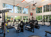 Thumbnail 19 of 24 - a room filled with lots of different types of exercise equipment