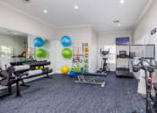 Thumbnail 27 of 33 - a workout room at the enclave at woodbridge apartments in sugar land, tx