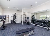 Thumbnail 28 of 33 - a gym with cardio equipment and exercise machines
