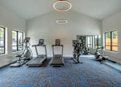Thumbnail 13 of 33 - a gym with treadmills and other exercise equipment in a building with windows