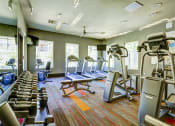 Thumbnail 15 of 33 - fitness center