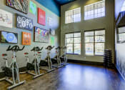 Thumbnail 19 of 33 - spin bikes fitness center