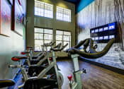 Thumbnail 20 of 33 - spin bikes fitness center