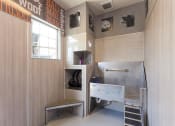 Thumbnail 16 of 41 - dog wash station