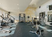 Thumbnail 25 of 29 - A gym with a variety of equipment including treadmills, weights, and exercise machines.