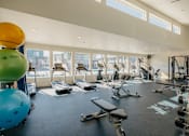 Thumbnail 26 of 29 - A gym with a variety of equipment including treadmills, weights, and exercise balls.