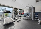 Thumbnail 16 of 21 - the gym at the runnymede on 132nd