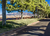 Thumbnail 3 of 25 - A tree-lined street with a mountain in the background.