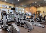 Thumbnail 16 of 17 - fitness center